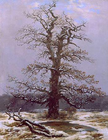 Caspar David Friedrich Eiche im Schnee oil painting picture